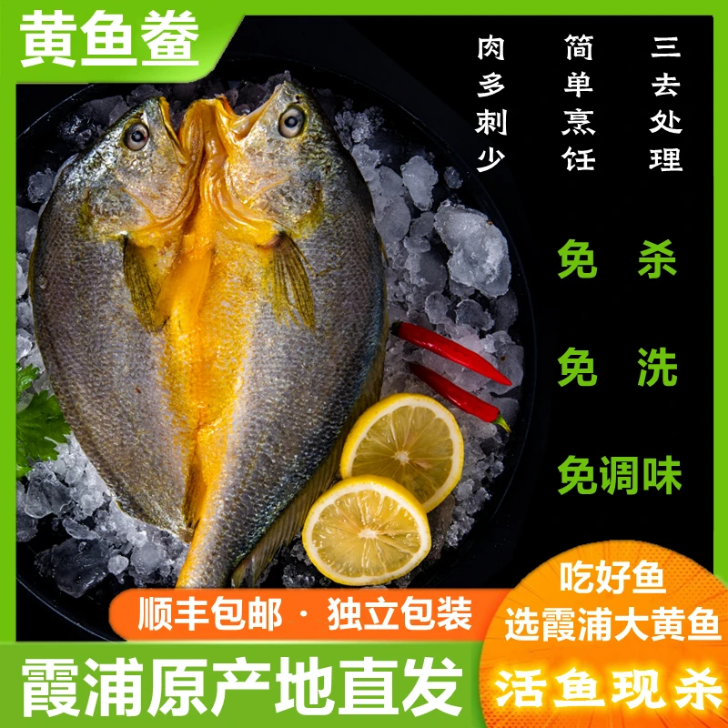【200g*4条/9条】福建宁德霞浦黄鱼鲞 大黄鱼 200g/条 免杀免洗新鲜