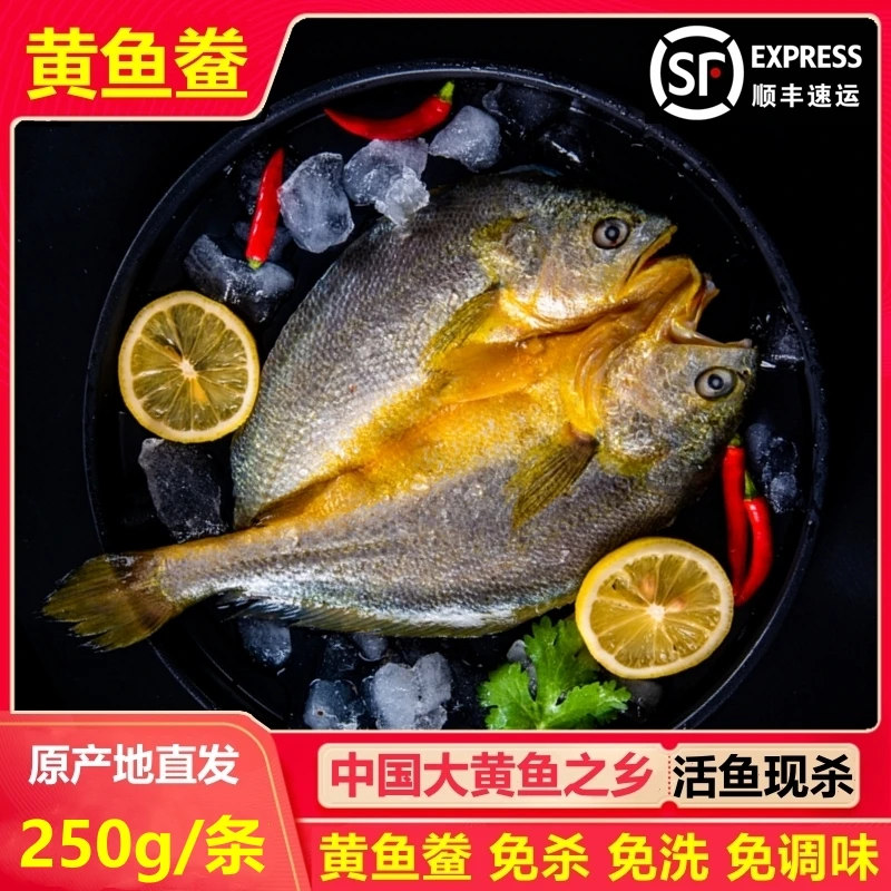【250g/条】宁德霞浦黄鱼鲞新鲜冷冻咸香大黄鱼黄花鱼免杀免洗250g