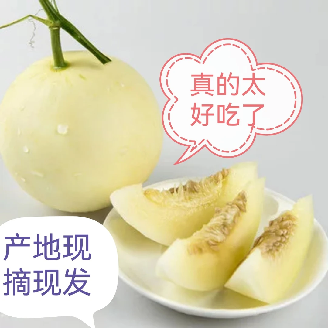 云南头茬糖心蜜罐香瓜小蜜蜂甜瓜产地直发个别网纹介意慎拍