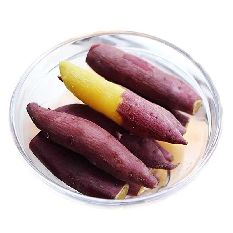 【拇指】【小号】农食谷临安天目山香薯红薯5斤装单个1两以下【粉面】