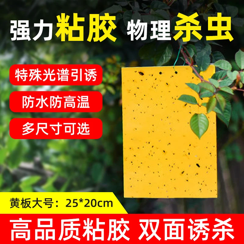 粘虫板黄板包邮双面诱虫板蓝板小黑飞粘飞虫纸农用大棚蓟马沾虫板