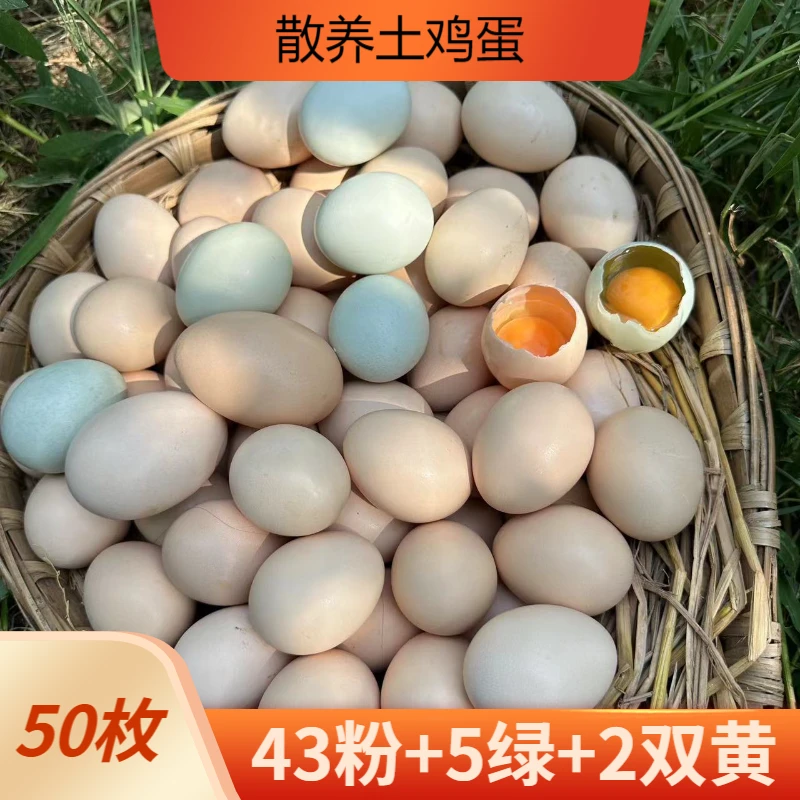 [破损包赔]农家散养土鸡蛋新鲜现捡现发43枚粉壳+5枚绿壳+2个双黄