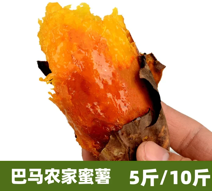 广西现挖巴马红薯当季小蜜薯番薯软糯香地瓜农家自种蜜薯