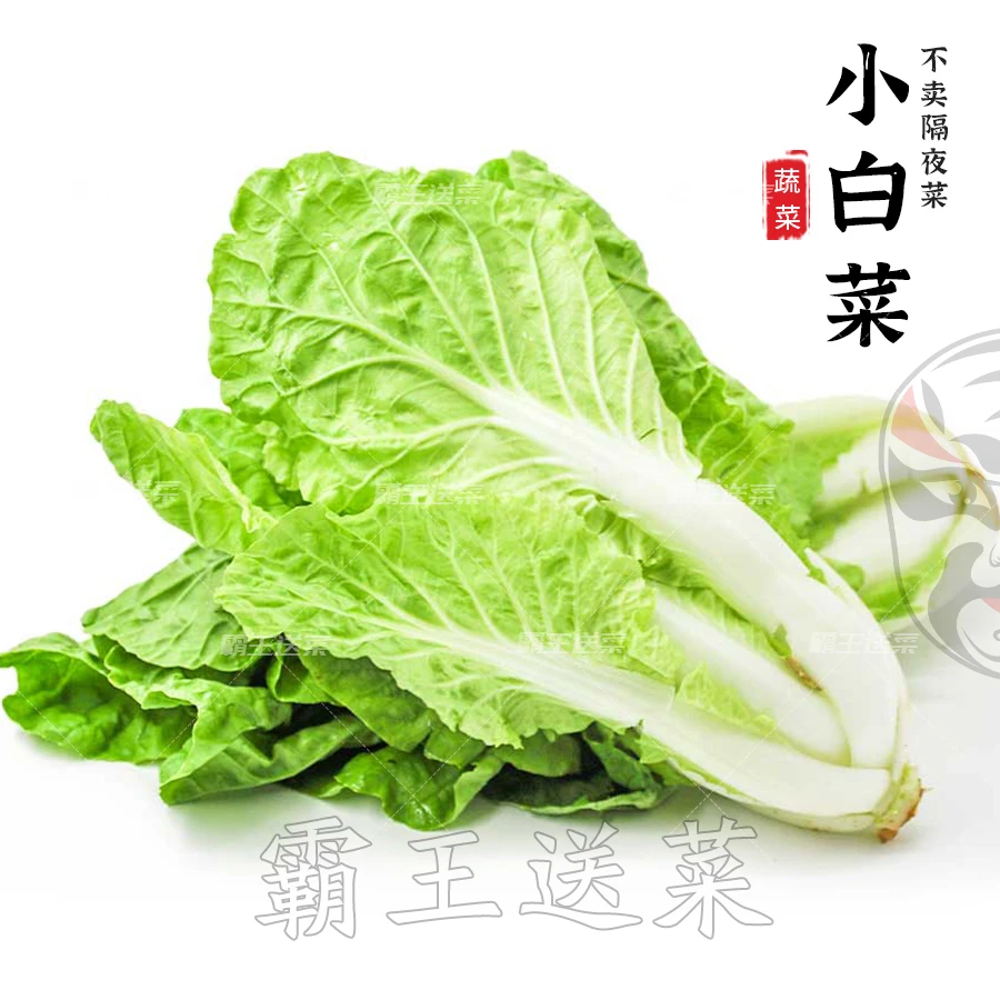 【基地直供】特嫩小白菜  300g
