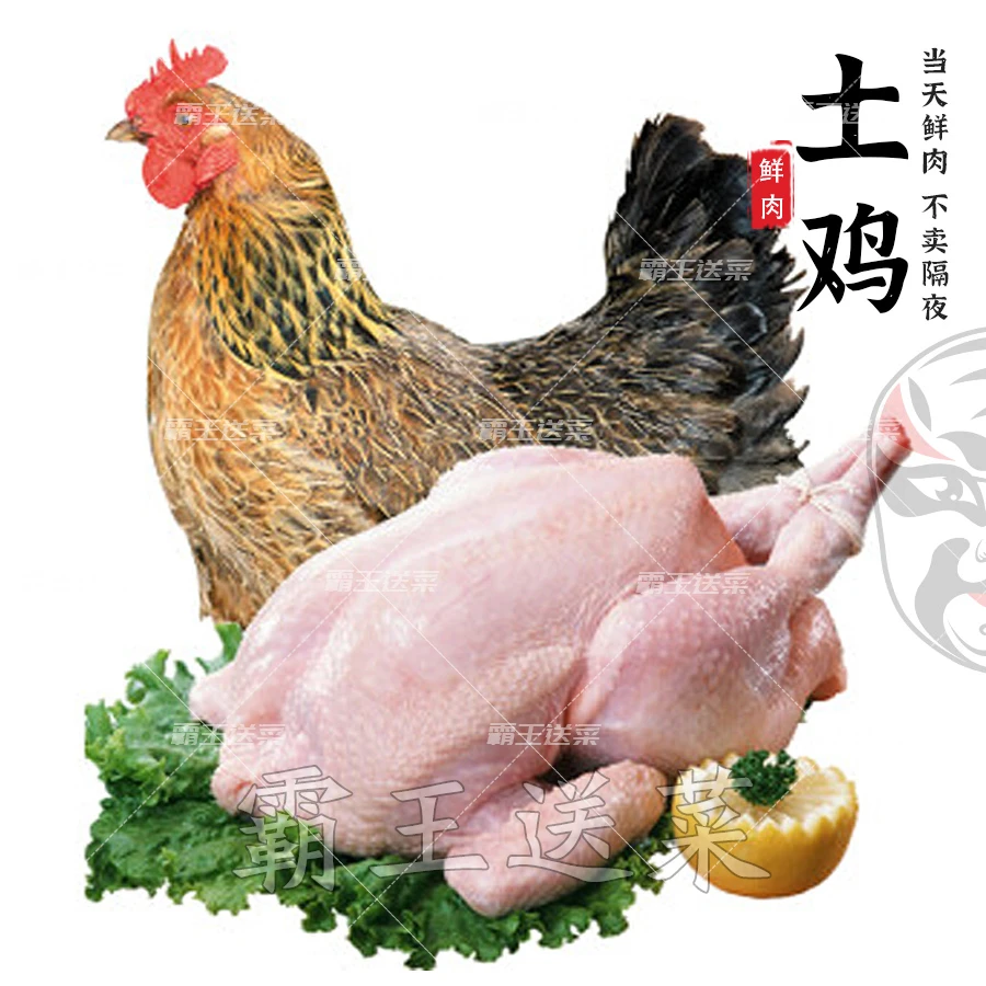 【熬汤佳品】武定土鸡 约1.7kg/只