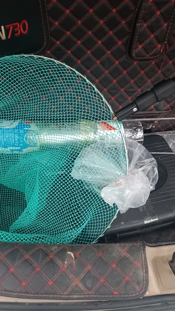 抓竹蜂全套装备专业技术