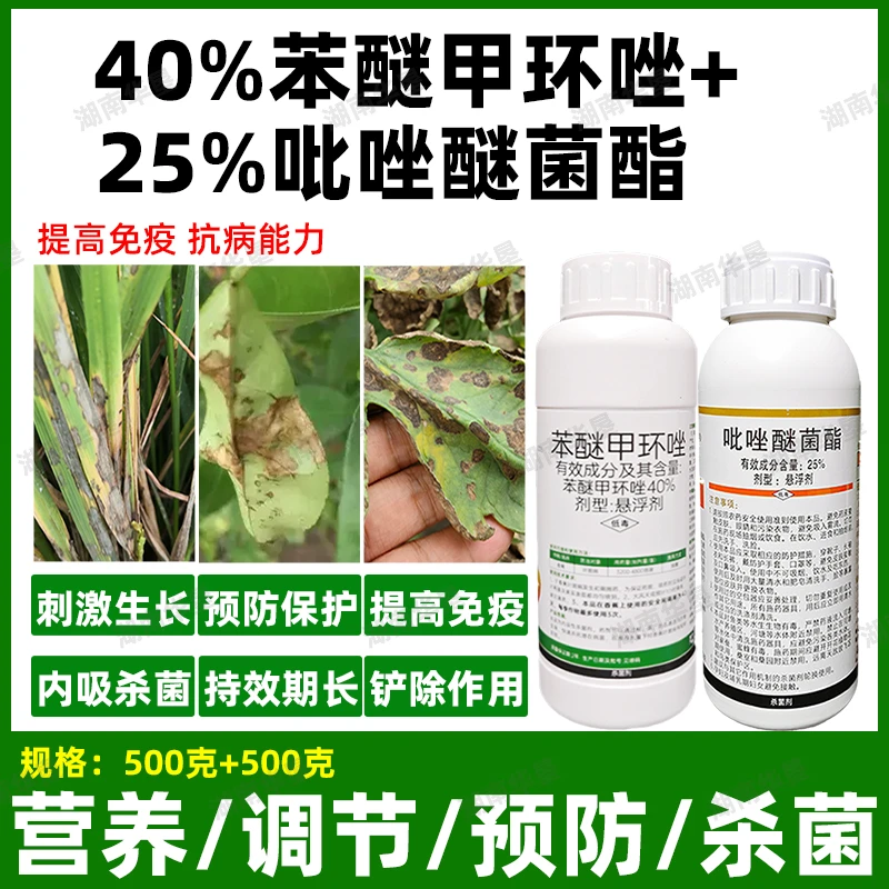 强力杀菌方案苯醚甲环唑+吡唑醚菌酯两元复配预防保护治疗杀菌剂