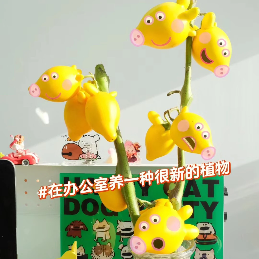 五代同堂黄金果小猪佩奇鲜切枝植物客厅装饰绿植