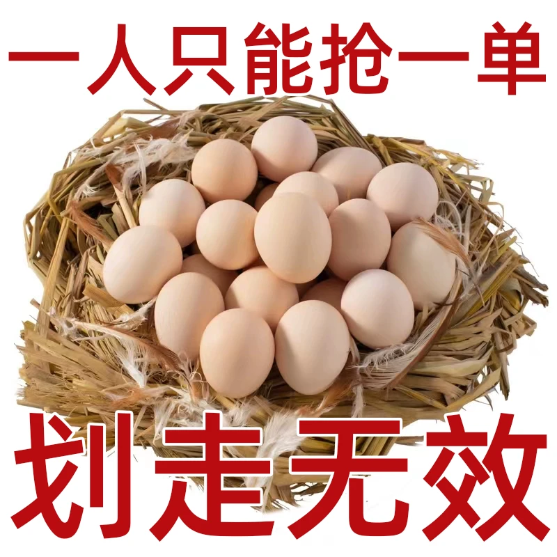 大凉山彝族黑五鸡七彩土鸡蛋新鲜整箱初生散养跑山绿壳鲜蛋