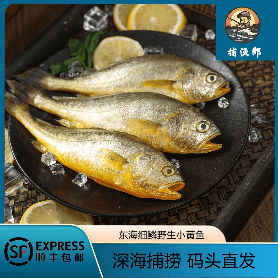【4-5条】新鲜舟山小黄鱼野生细鳞深海捕捞冷链送 随机混发介意勿拍