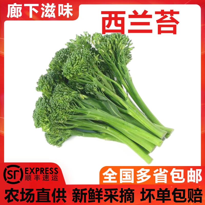 廊下滋味西兰苔1-5斤 新鲜西兰花台手指西兰花苔宁夏甜杆青花苔