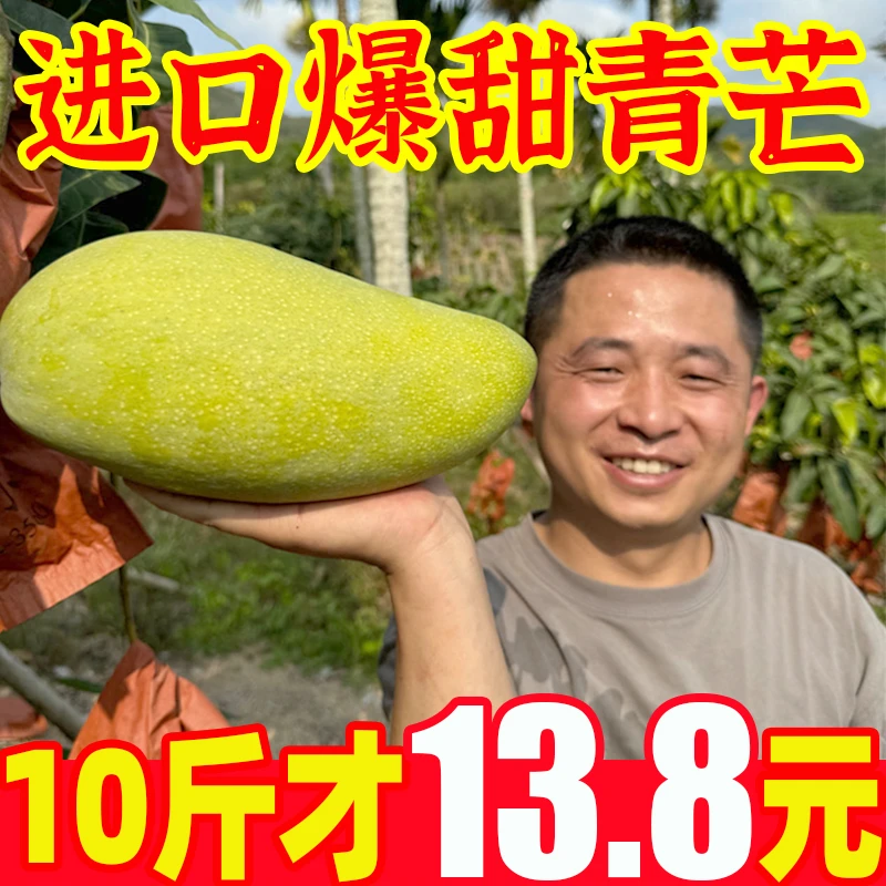 【正宗】云南大青芒当季新鲜水果5/10斤水仙芒金煌芒特大果包邮整箱