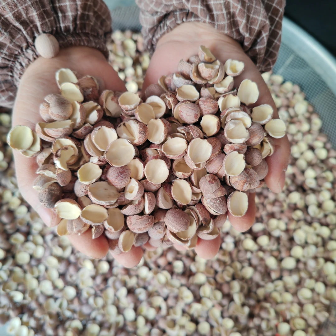 25年机子打碎莲子2斤