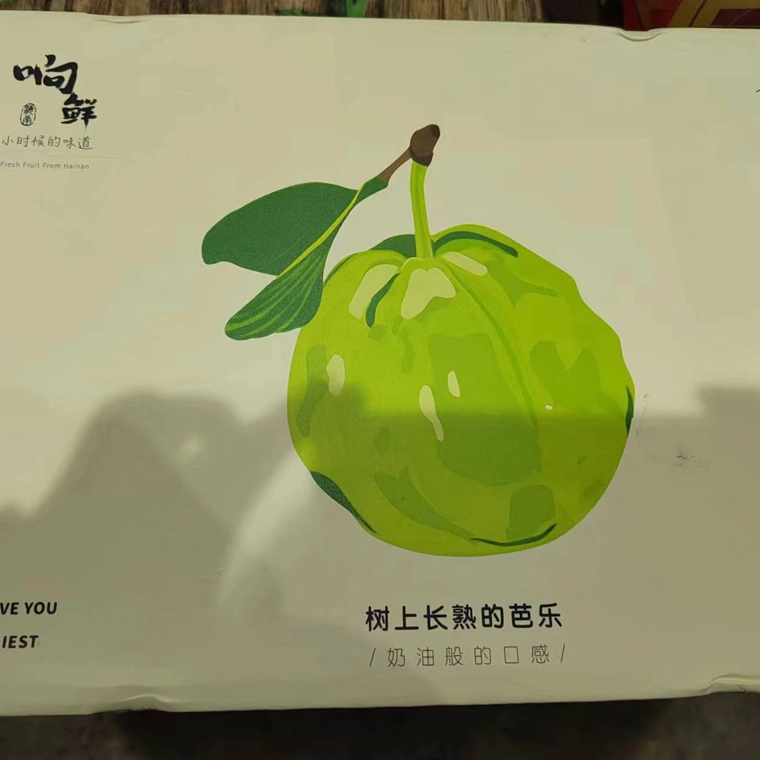 红心芭乐礼盒装 香甜可口 净重4.5斤左右  坏果包赔