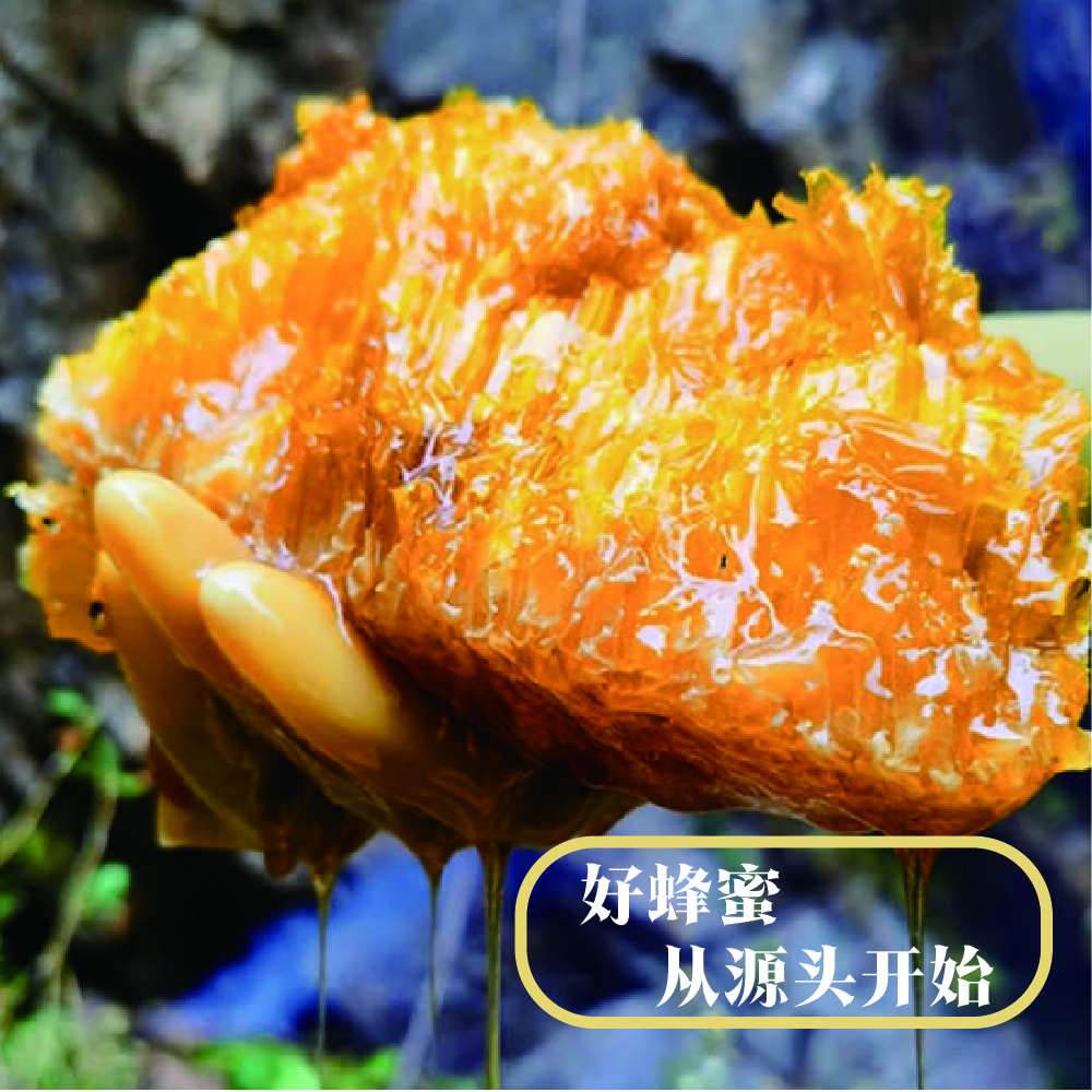【假一赔十】乐山农家悬崖土蜂蜜500g采自原始森林过滤装瓶正宗蜂蜜
