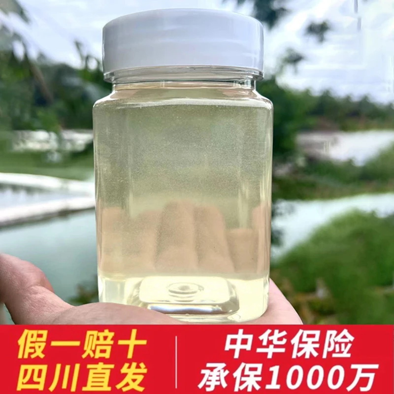 正宗【农家洋槐蜂蜜】今年大丰收纯正无任何添加500g成熟酿造酿蜜