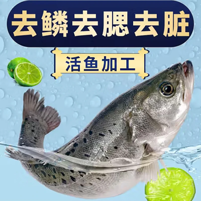 【新疆包邮】新鲜海鲈鱼开背750g～800g/条/拍一发三送龙利鱼片500g。