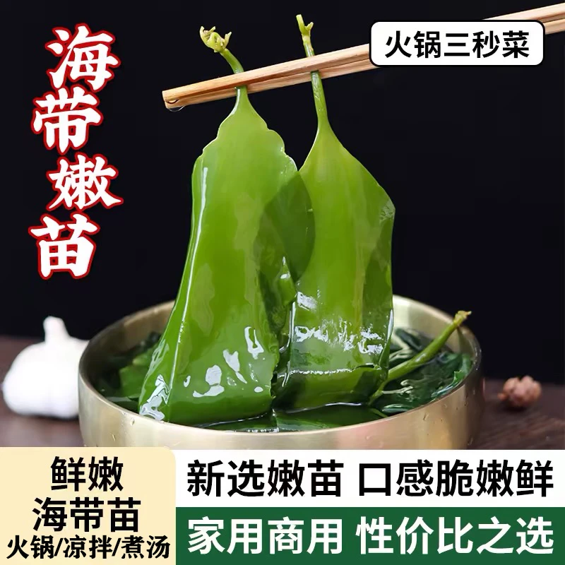 霞浦盐渍锁鲜海带苗嫩芽新鲜小海带芽非干货火锅食材家庭凉拌小菜