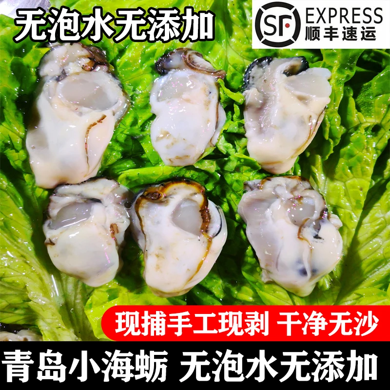 新鲜海蛎子肉三斤/五斤海鲜水产现剥去壳纯肉火锅烧烤蚵仔煎包邮