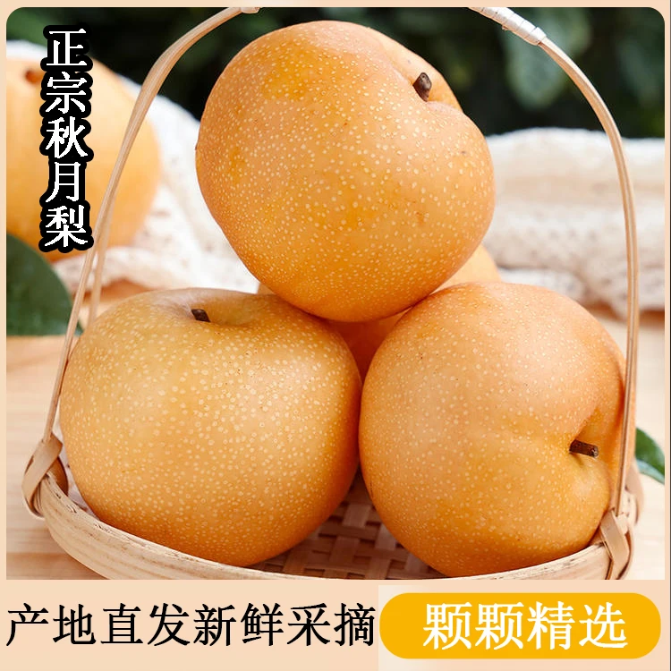 【专属】正宗山东烟台莱阳冰糖秋月梨5斤装带箱冰糖梨香酥脆梨