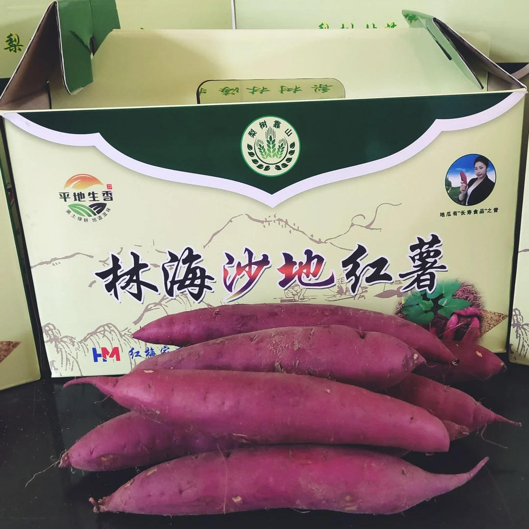 东北·吉林梨树县林海沙土地 西瓜红蜜薯红薯5斤/10斤中果包邮