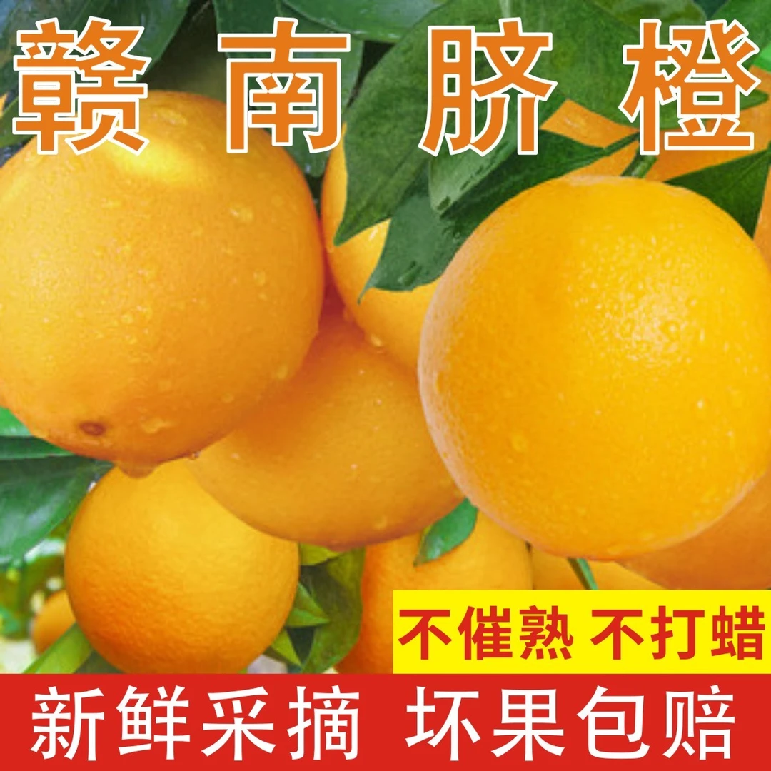 10斤装江西特产新鲜赣南脐橙现摘现发橙子