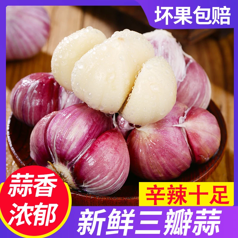 山花石路云南大理紫皮独头大蒜三瓣蒜三丫自种产品批发新鲜独头