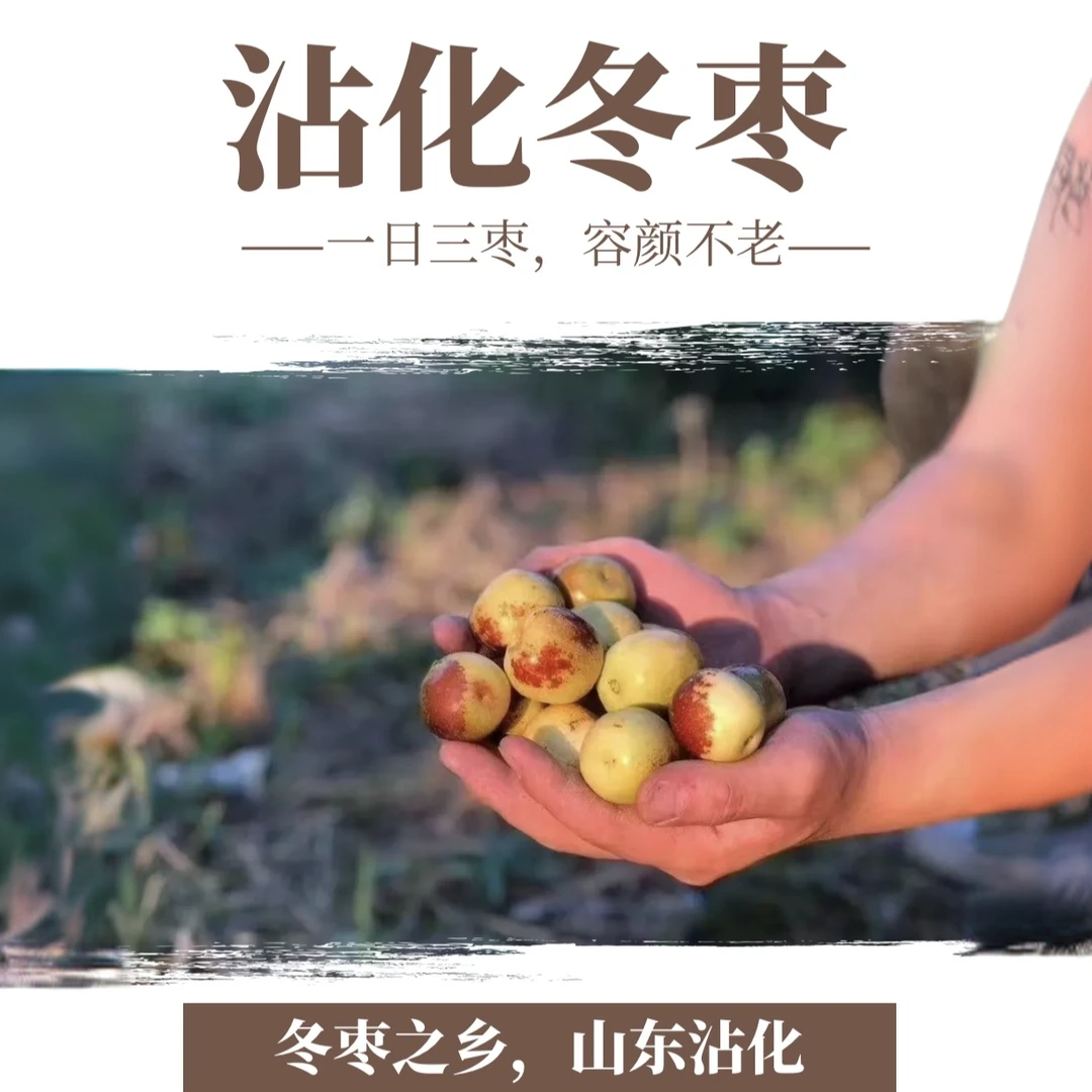 山东沾化冬枣现摘大枣脆甜一级果新鲜整箱5斤装原产地直发发货