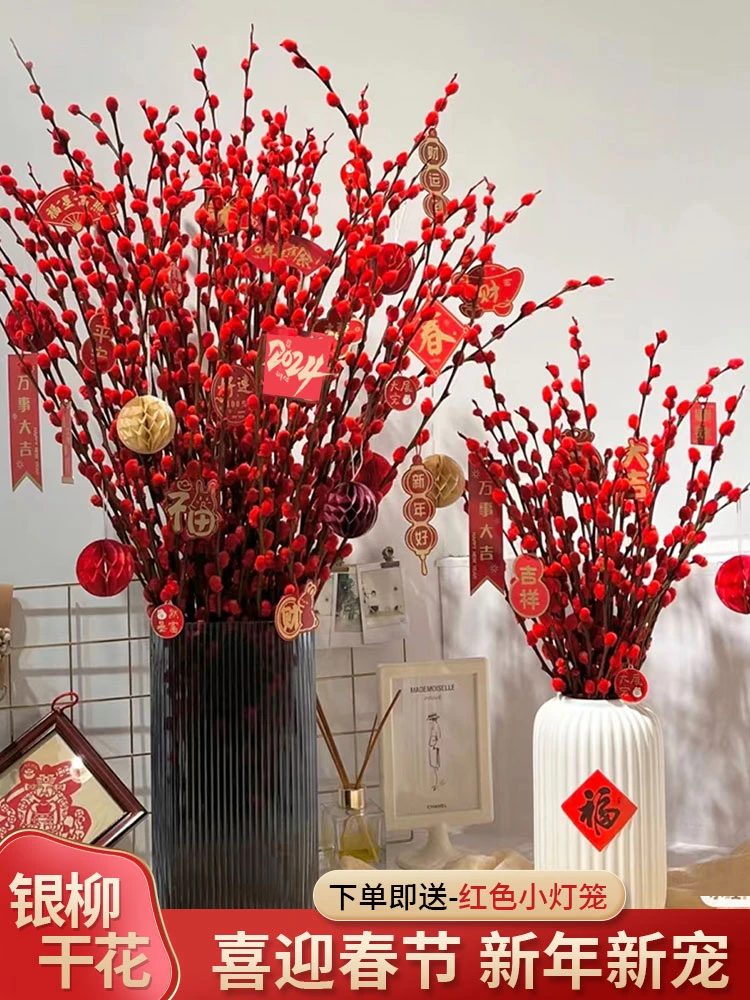 招财银柳真花鲜枝春节年宵花卉水培耐寒植物干花银柳新年室内装饰