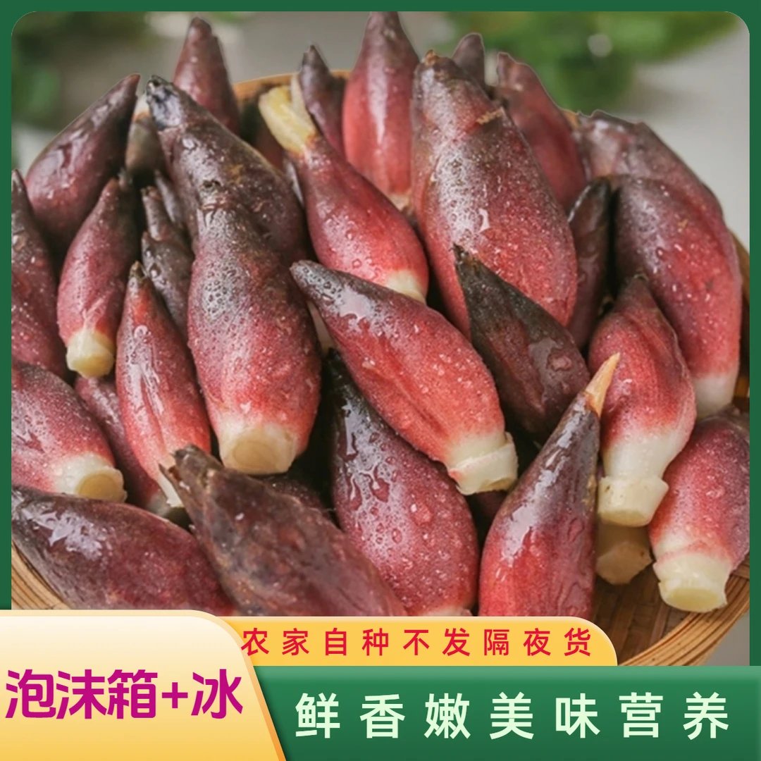 贵州新鲜洋荷姜阳荷野生阳荷姜洋霍胡姜营养时令蔬菜净含量1斤