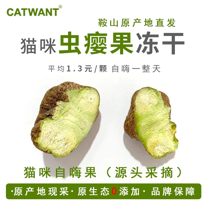 CATWANT/猫咪旺农场野生可食虫瘿果冻干猫咪自嗨玩具洁牙