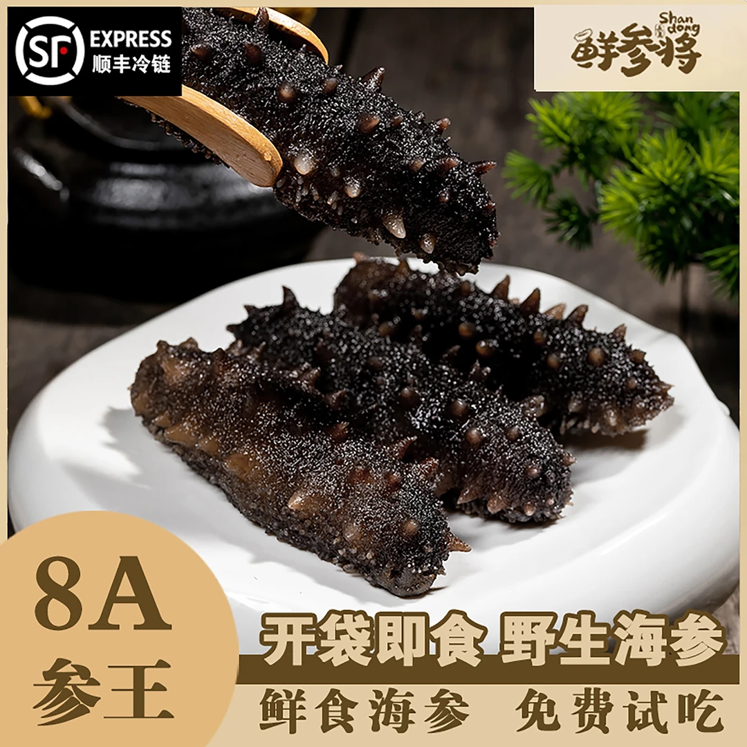 野生参王8A级假一赔三鲜食即食耐储存海参6头一斤顺丰现货包邮