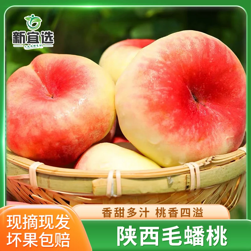 陕西毛蟠桃3-5斤扁桃新鲜当季水果软桃子桃香四溢现摘现发