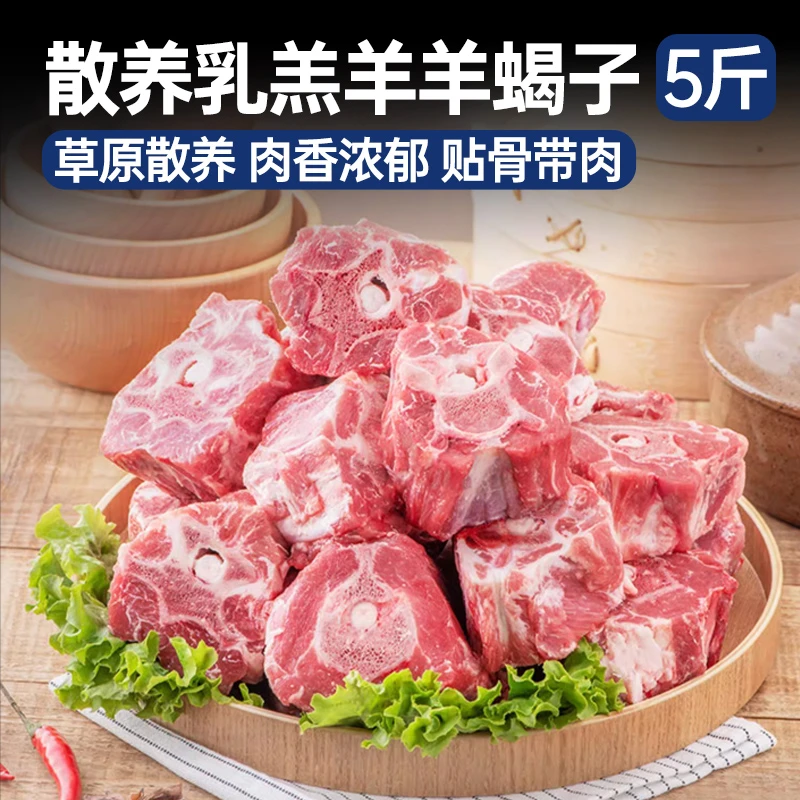 散养乳羔羊 羊蝎子 5斤 羊蝎子火锅煲汤红烧羊肉1