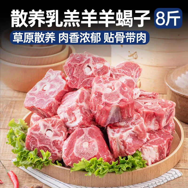 散养乳羔羊 羊蝎子 8斤 羊蝎子火锅煲汤红烧羊肉1