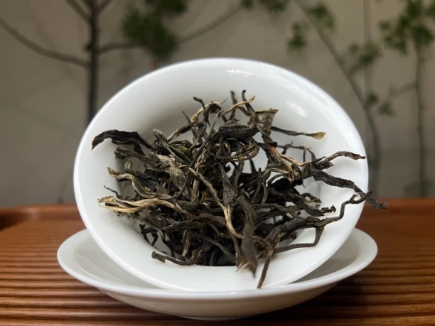 2020年 秋茶大树散料160克