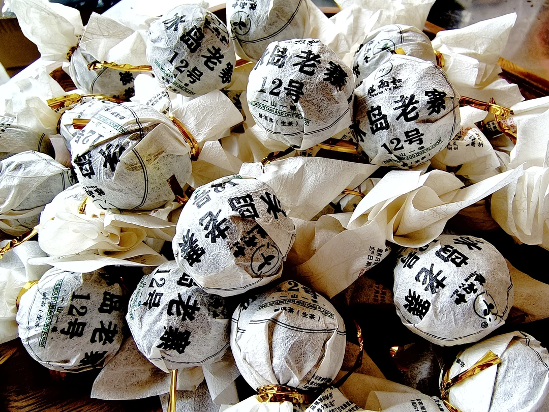 2021年春茶中树龙珠12泡