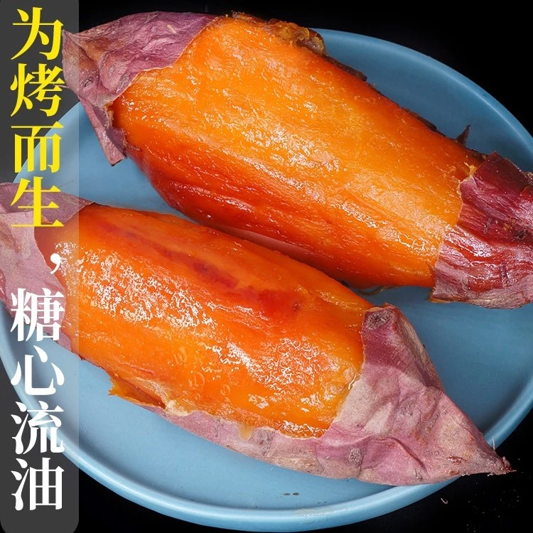 正宗仙田番薯农家自种新鲜番薯5斤装沙地现挖地瓜红蜜薯