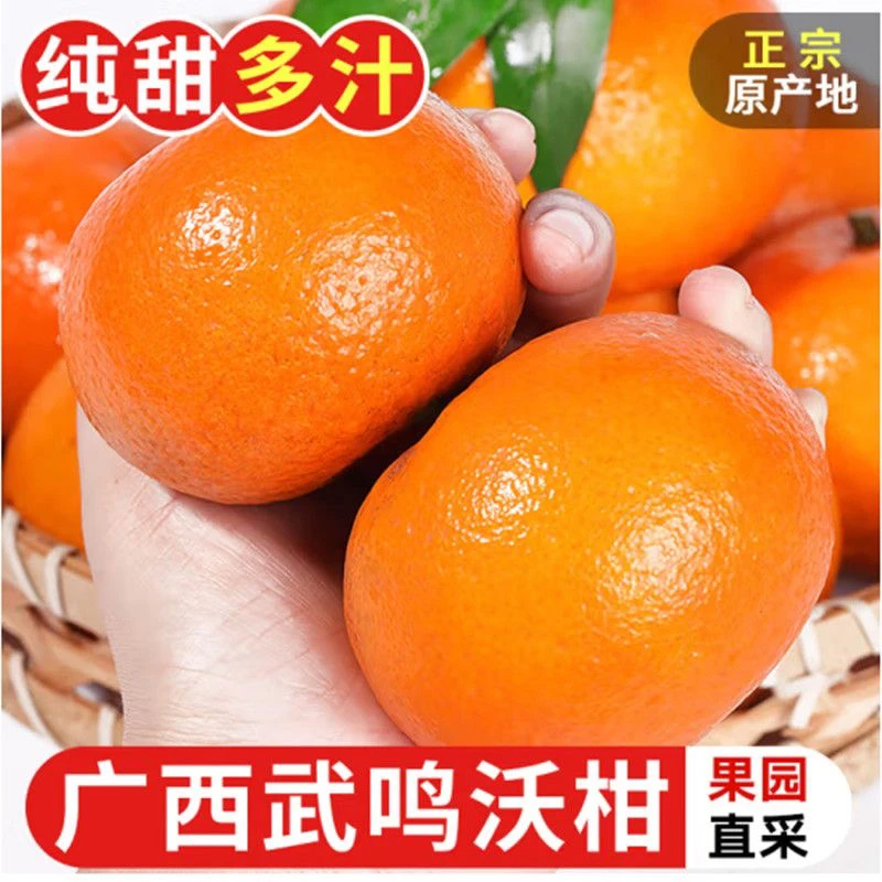 【正宗广西武鸣沃柑】香甜橘子当季新鲜水果鲜甜多汁桔子带箱10斤
