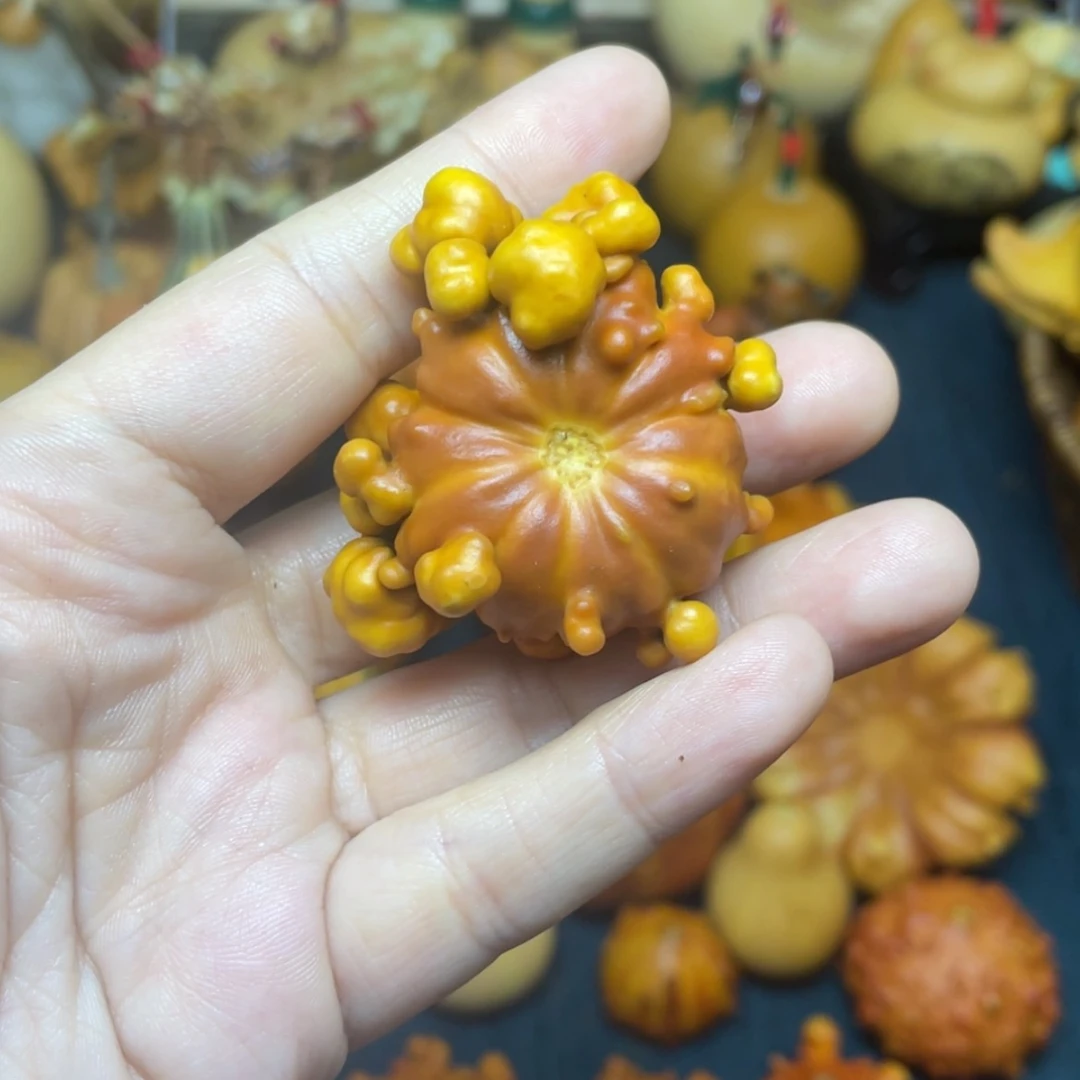 【闪购商品】天然葫芦李*伟
