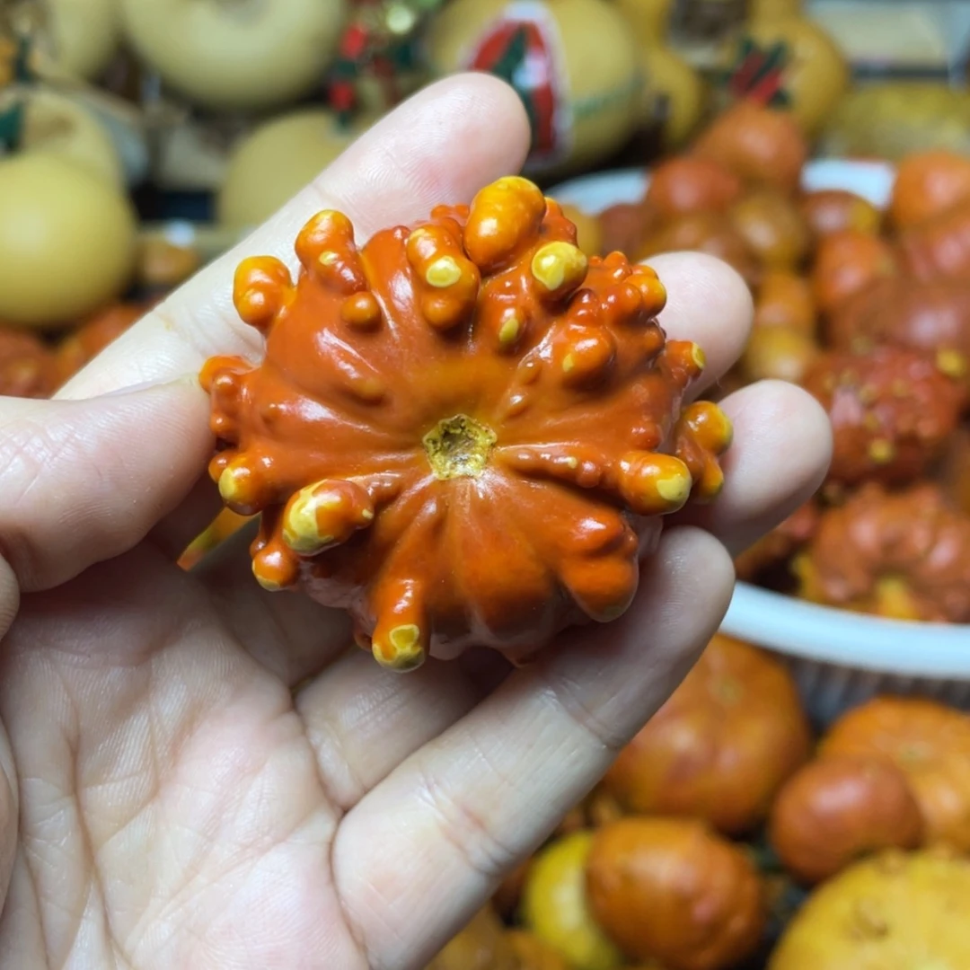 【闪购商品】铜葫芦