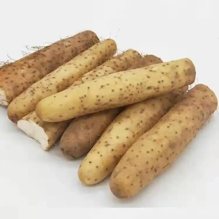 长山药1斤左右