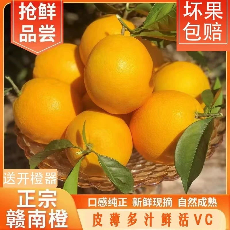 正宗赣南脐橙原产地直发不催熟不打蜡