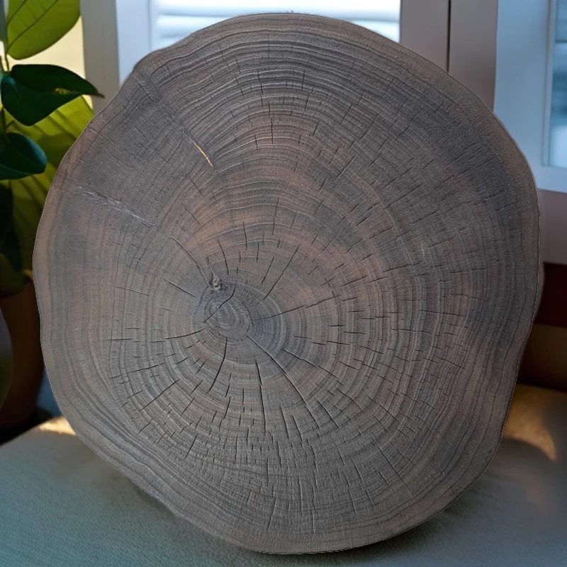 （一物一拍）银杏碳化工艺大尺寸面板可移动小茶几小边几复古手工