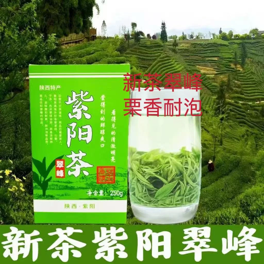 2025新茶 紫阳翠峰茶250克 春季茶陕西特产安康紫阳茶毛尖茶 散装