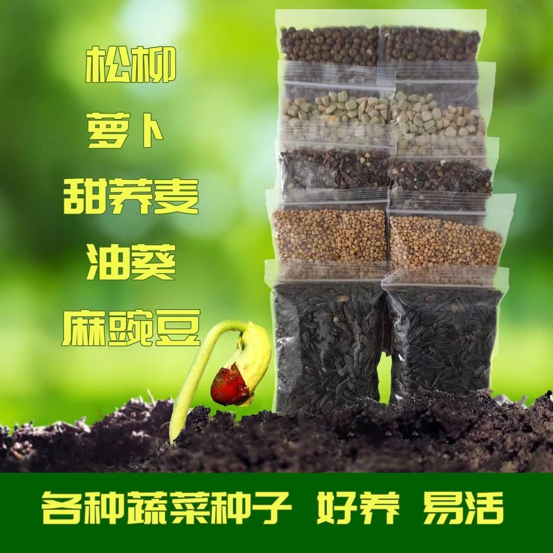 DMJ育苗盘水培盆生豆芽发芽盆神器无土栽培种植盘芽苗菜豌豆苗