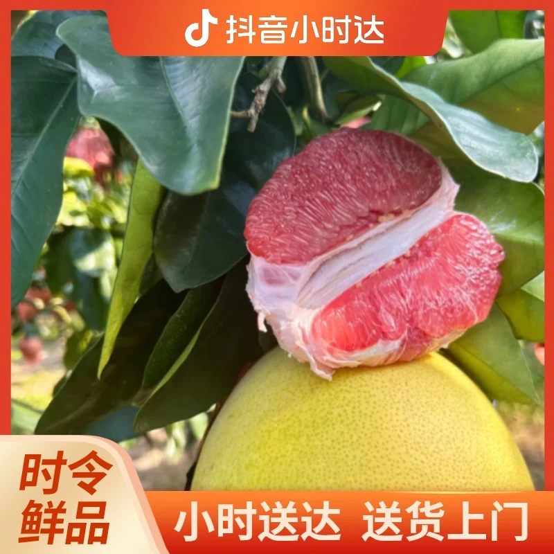 【正宗老树红心柚】现摘现卖福建正宗红心柚2个（4.5-5斤）区内包邮
