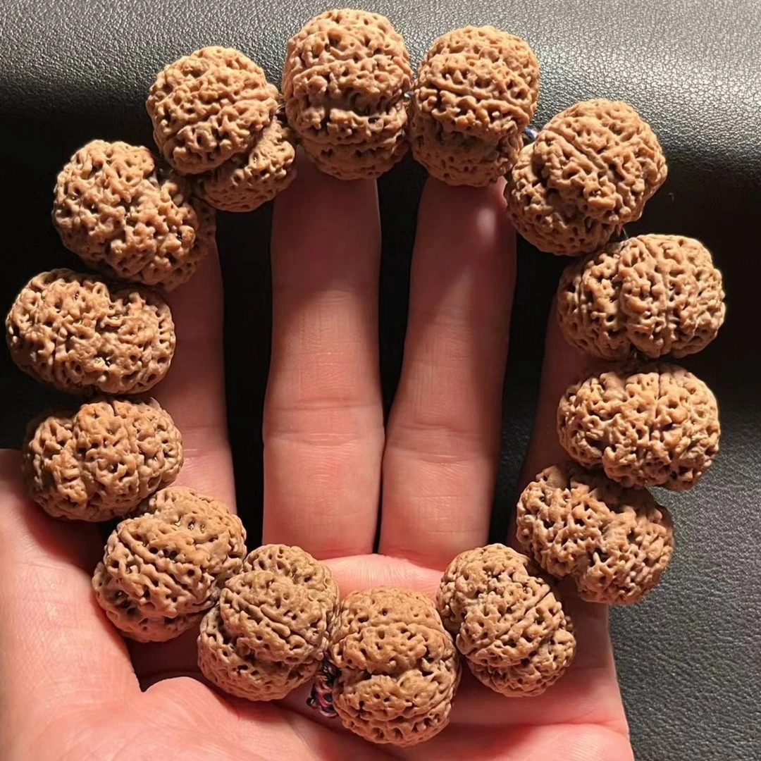 小莫出品 尼泊尔五星双龙爆肉蜂王大金刚菩提手串文玩好物！