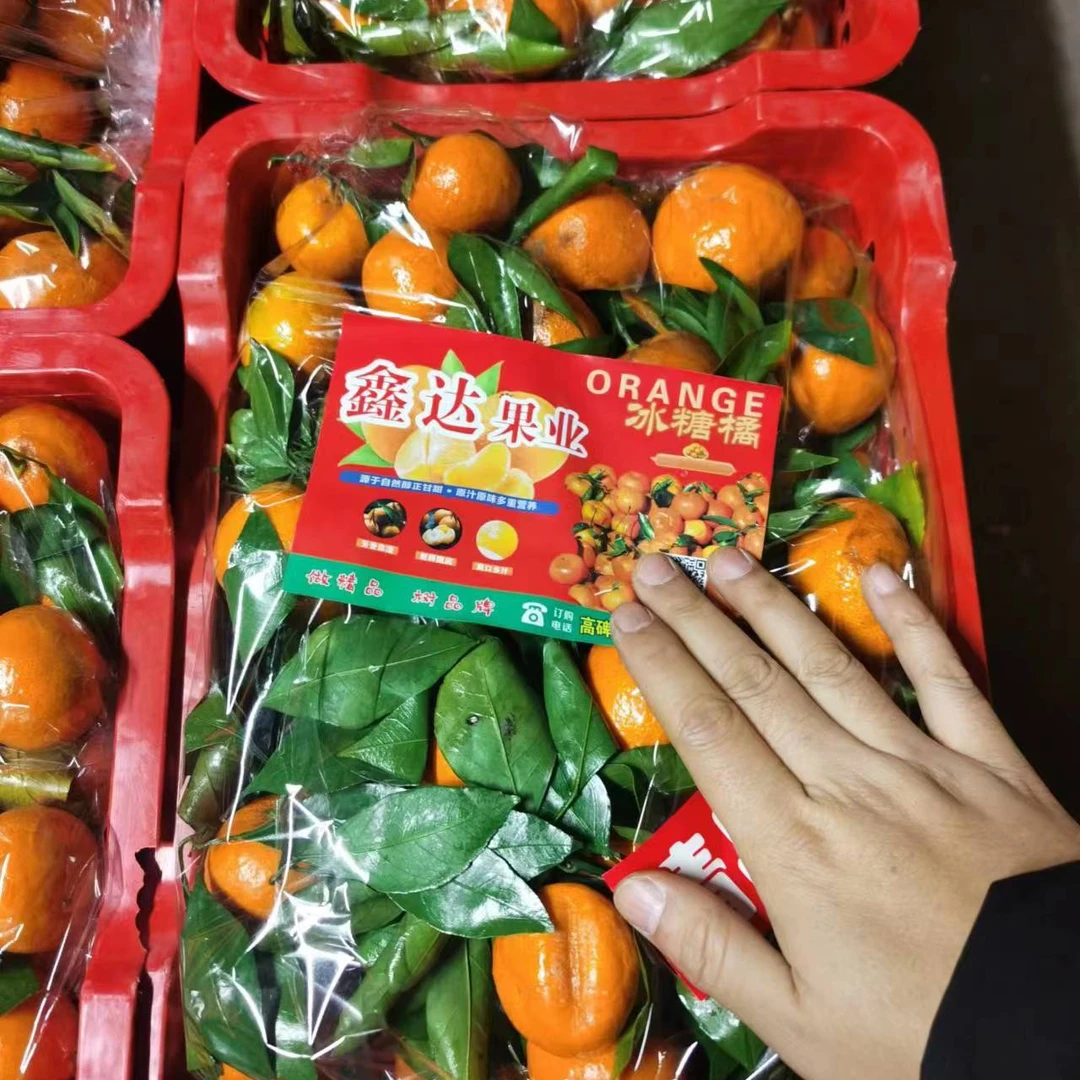 【同城送到家】砂糖橘 一筐