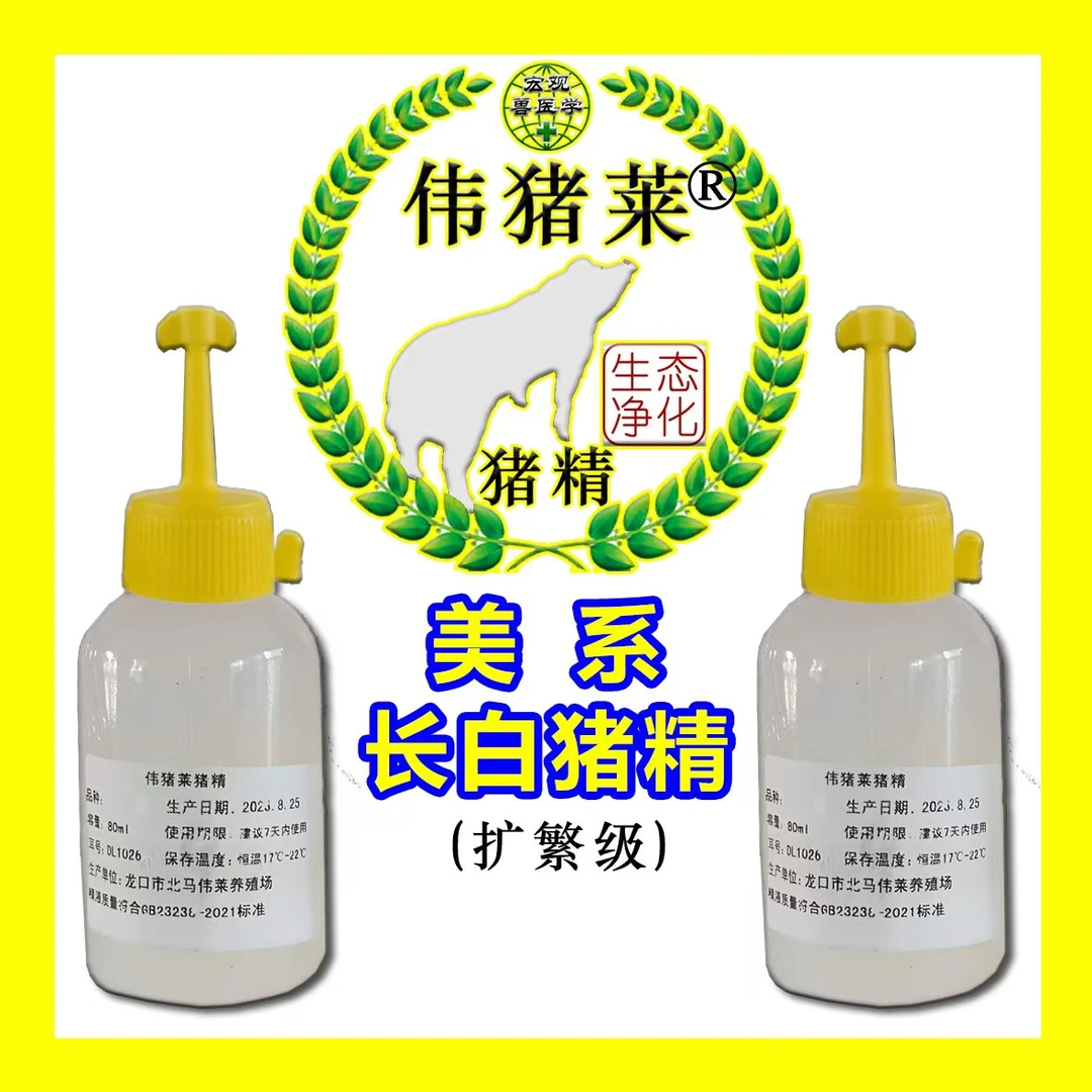 无品牌伟猪莱美系长白猪精 扩繁级 高活力健康猪精